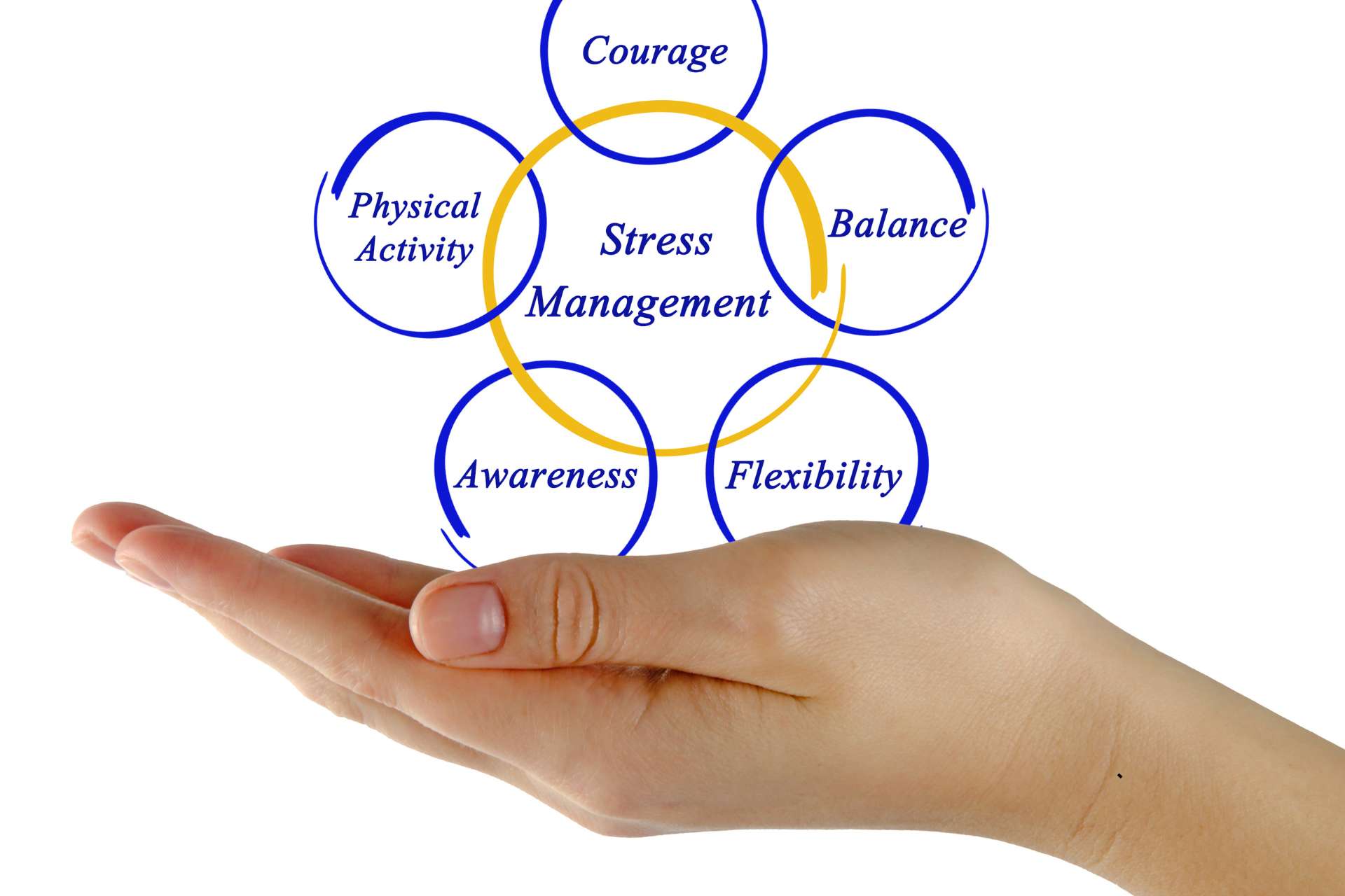 Managing Stress in a Fast-Paced World